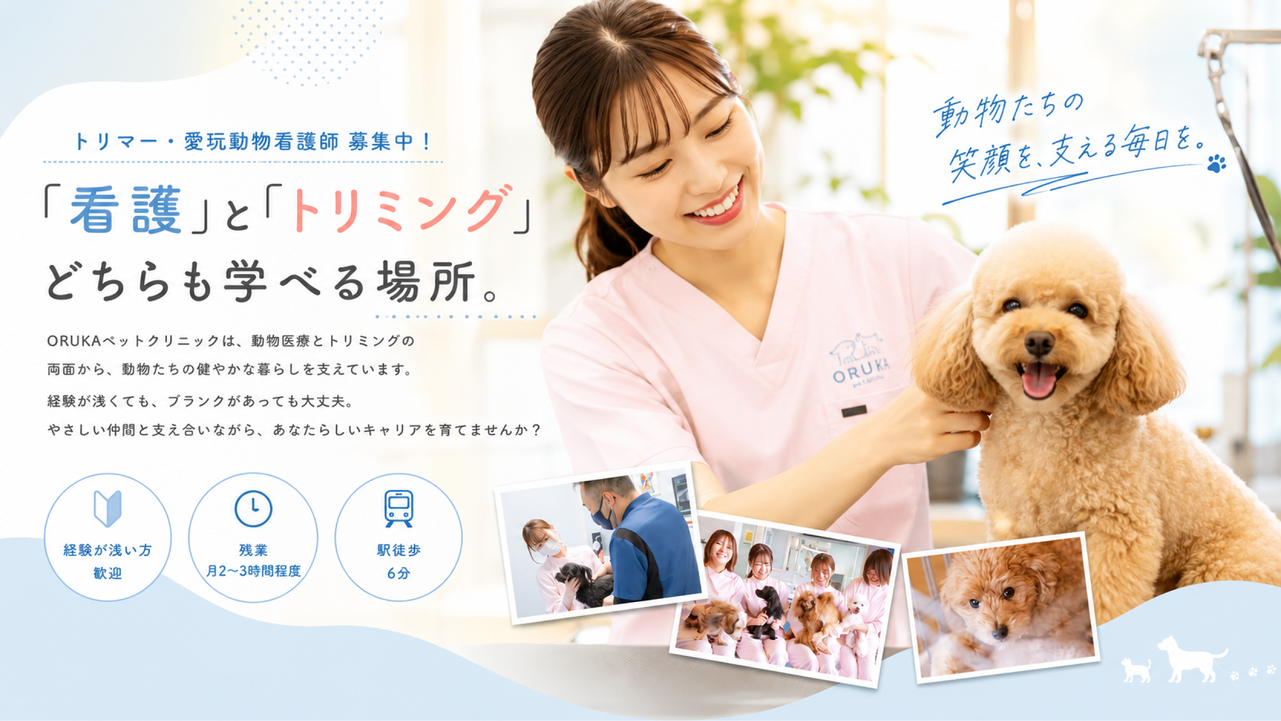 ORUKAペットクリニック トリマー・愛玩動物看護師募集